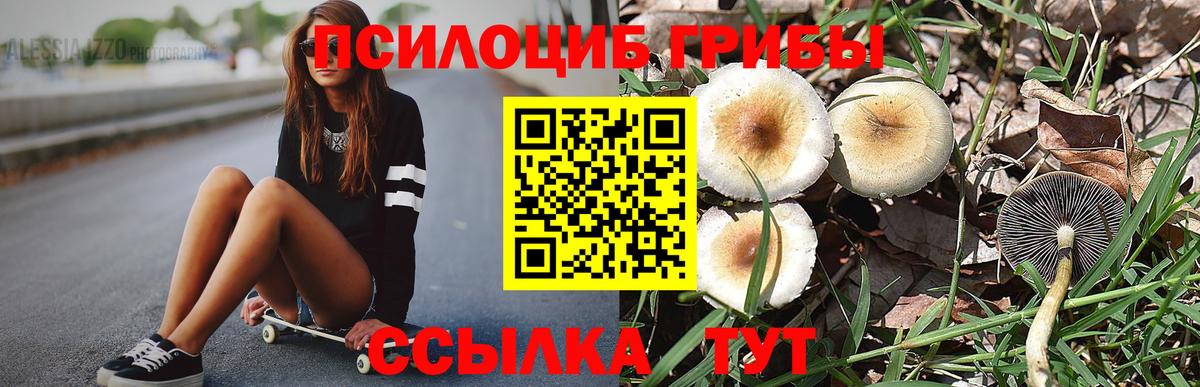Галлюциногенные грибы MAGIC MUSHROOMS Ивантеевка